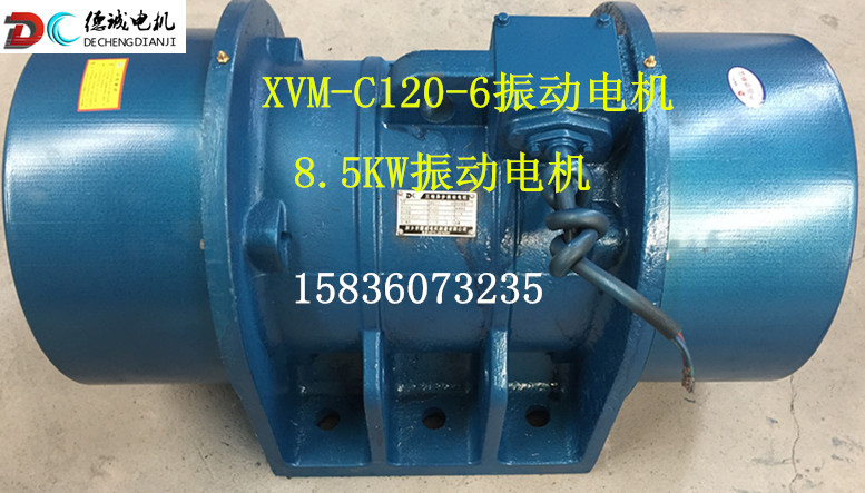 XVM-C 120-6振動電機(jī)_副本.jpg